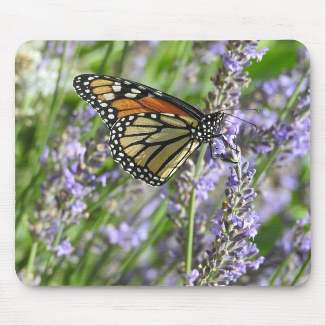 Alfombrilla De Ratón Mariposa Monarca en Flores de Lavanda (Frente)
