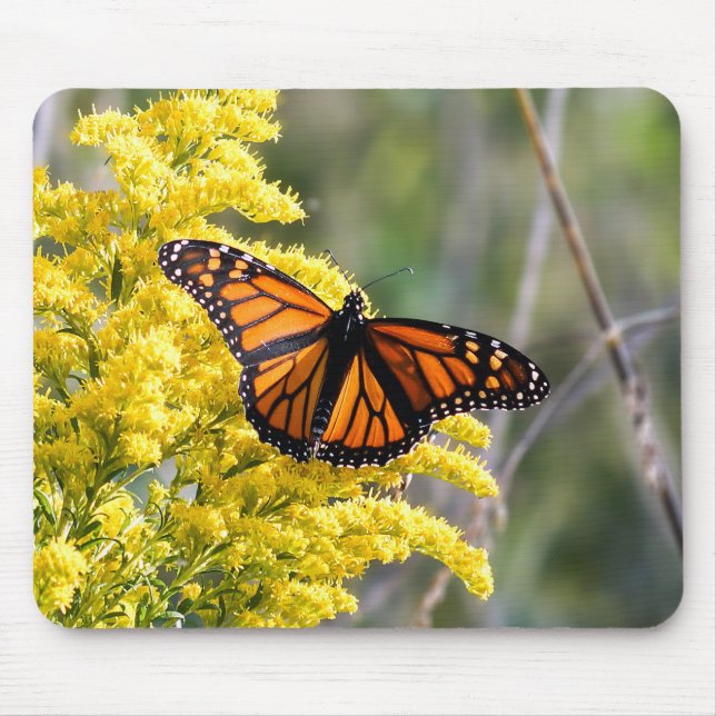 Alfombrilla De Ratón Mariposa monarca en Goldenrod Mousepad (Frente)