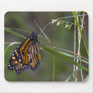 Alfombrilla De Ratón Mariposa monarca en la hierba