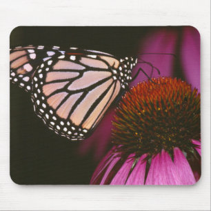 Alfombrilla De Ratón Mariposa monarca y flor púrpura