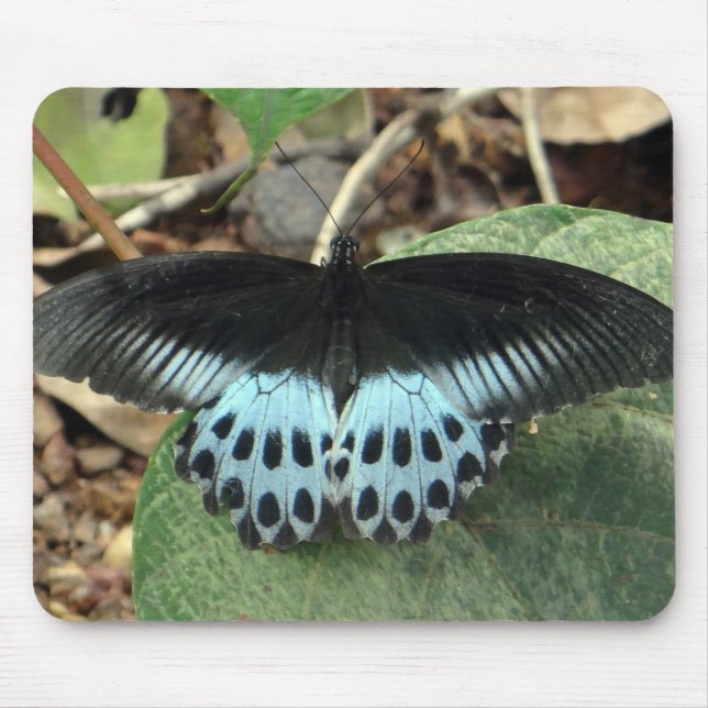 Alfombrilla De Ratón Mariposa mormal irlandesa azul (Frente)
