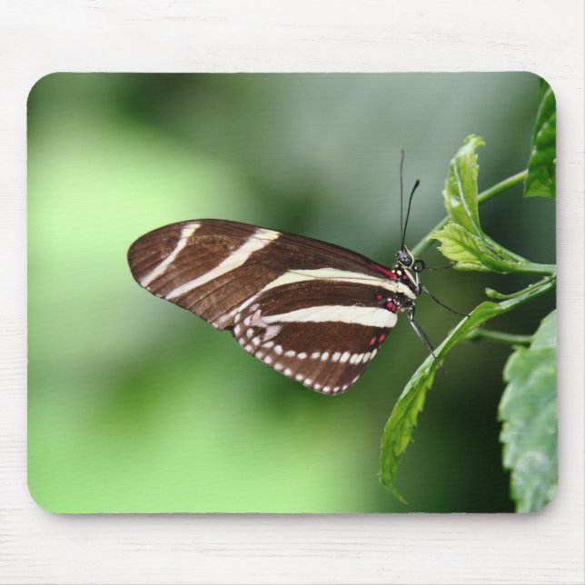 Alfombrilla De Ratón Mariposa Mousepad (Frente)