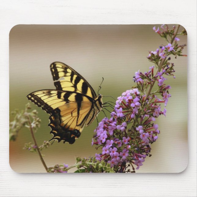 Alfombrilla De Ratón Mariposa Mousepad (Frente)