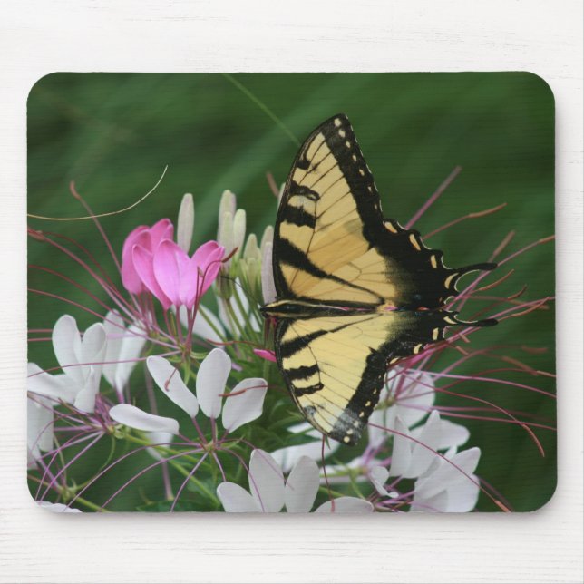Alfombrilla De Ratón Mariposa Mousepad (Frente)