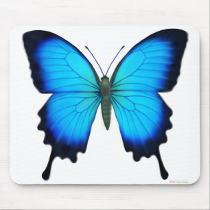 Alfombrilla De Ratón Mariposa Mousepad de Papilio Ulises