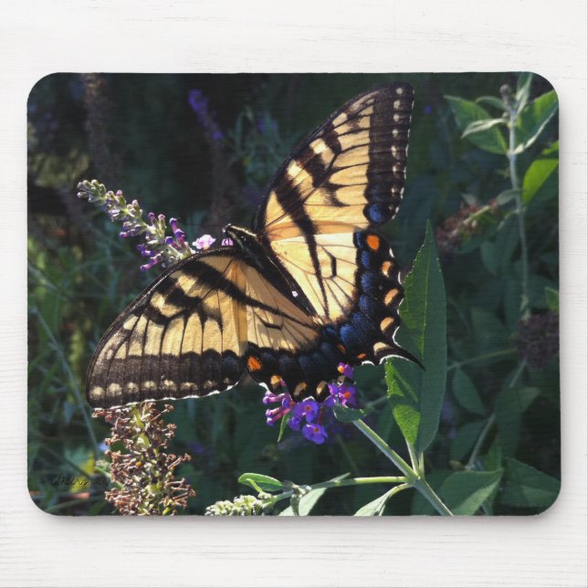 Alfombrilla De Ratón Mariposa Mousepad de Swallowtail (Frente)