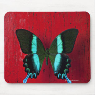 Alfombrilla De Ratón Mariposa negra y azul en la pared roja
