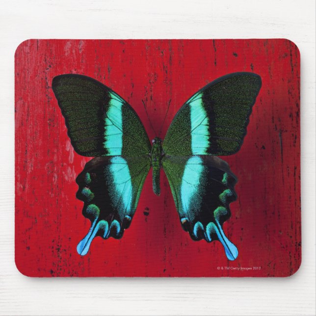 Alfombrilla De Ratón Mariposa negra y azul en la pared roja (Frente)
