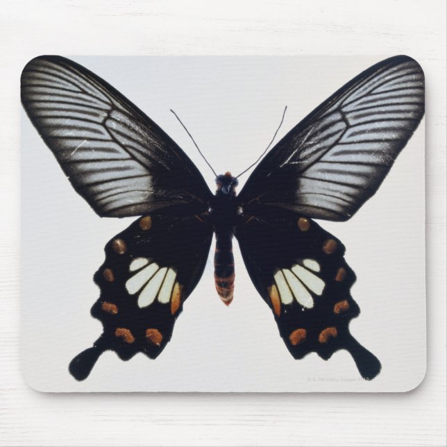 Alfombrilla De Ratón Mariposa negra y marrón (Frente)