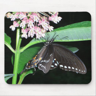Alfombrilla De Ratón Mariposa nocturna cola de golondrina negra en Shen