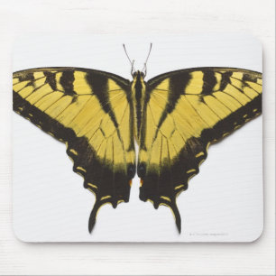 Alfombrilla De Ratón Mariposa occidental de Swallowtail del tigre