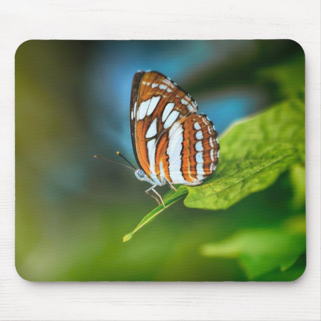 Alfombrilla De Ratón Mariposa rayada blanca y Naranja (Frente)