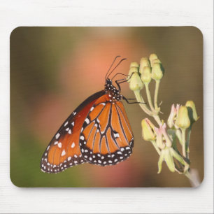 Alfombrilla De Ratón Mariposa reina en una rama