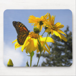 Alfombrilla De Ratón Mariposa sobre la almohadilla del ratón girasol