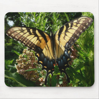 Alfombrilla De Ratón Mariposa Swallowtail III Foto Hermosa y Colorida