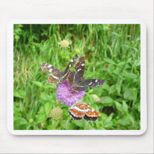 Alfombrilla De Ratón Mariposas en un ladrillo