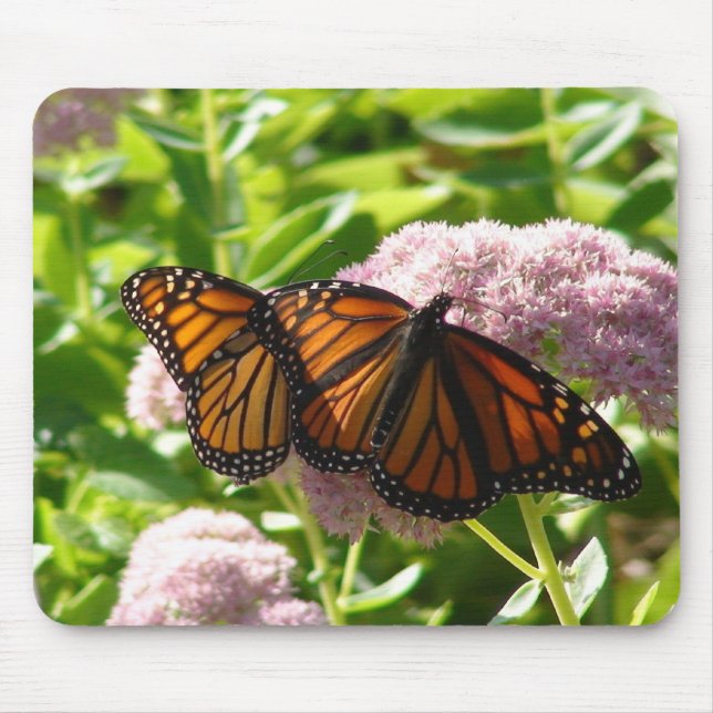 ALFOMBRILLA DE RATÓN MARIPOSAS GEMELAS (Frente)