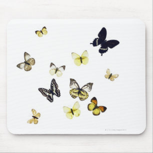 Alfombrilla De Ratón Mariposas tiradas en blanco