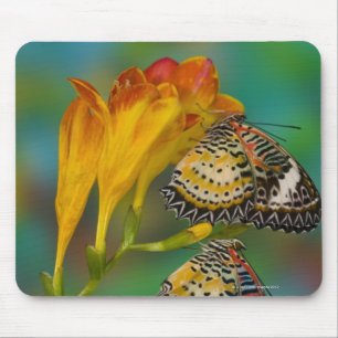Alfombrilla De Ratón Mariposas tropicales leopardo lactando (Cethosia)