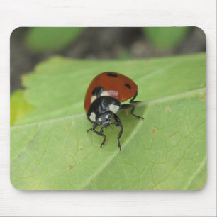 Alfombrilla De Ratón Mariquita amistosa Mousepad