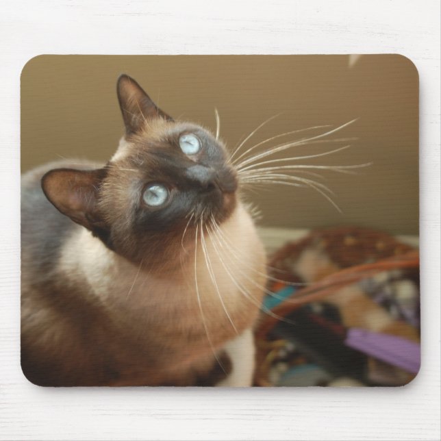 Alfombrilla De Ratón Mariquita Mousepad (Frente)