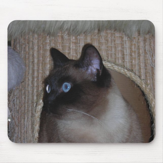 Alfombrilla De Ratón Mariquita Mousepad (Frente)