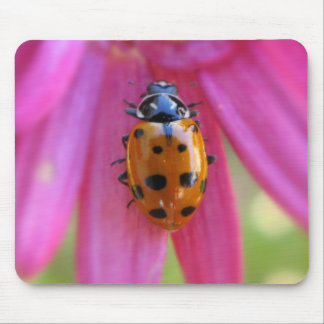 Alfombrilla De Ratón Mariquita Mousepad