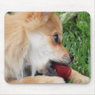 Alfombrilla De Ratón Mariquita Pomerania con bolas