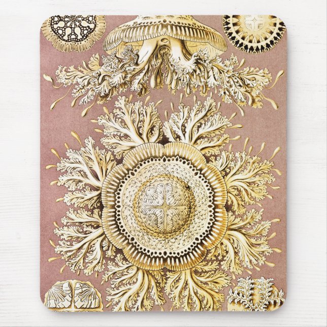Alfombrilla De Ratón Marisco, Discomedusae de Ernst Haeckel (Frente)