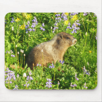 Alfombrilla De Ratón Marmot en Mont Rainier Wildflowers