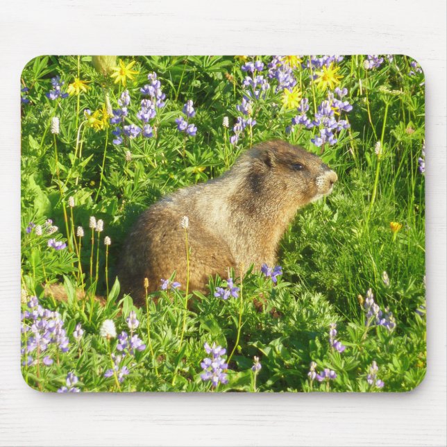 Alfombrilla De Ratón Marmot en Mont Rainier Wildflowers (Frente)