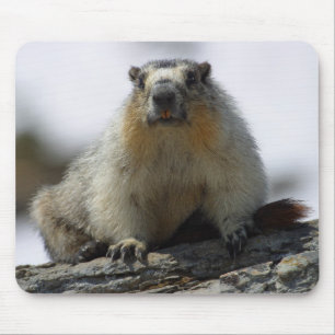 Alfombrilla De Ratón Marmota hinchada amarillo
