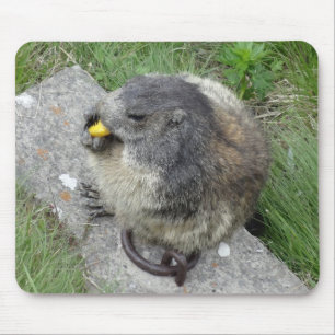 Alfombrilla De Ratón Marmots mousepad