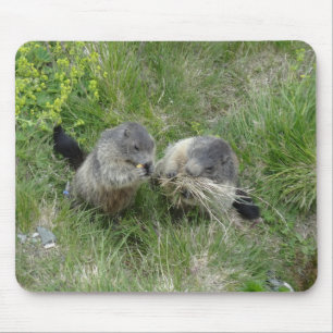Alfombrilla De Ratón Marmots mousepad