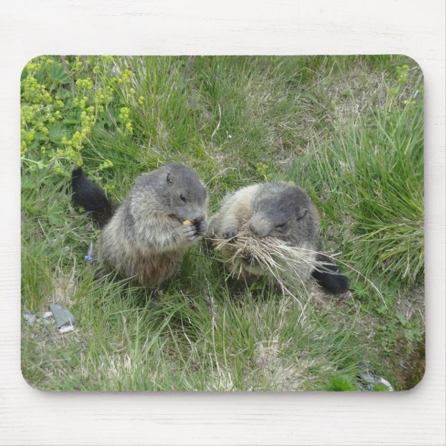 Alfombrilla De Ratón Marmots mousepad (Frente)