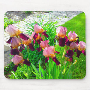 Alfombrilla De Ratón Maroon Iris Flower Mousepad