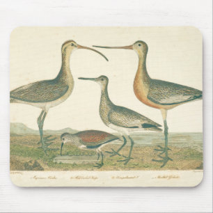 Alfombrilla De Ratón Marsh Bird Curlew Snipe Birding