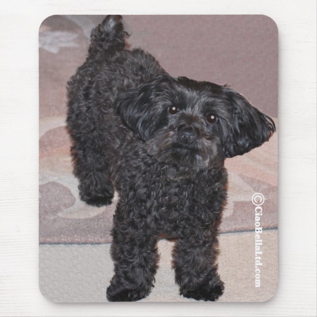Alfombrilla De Ratón Martini el Yorkie-Poo (Frente)