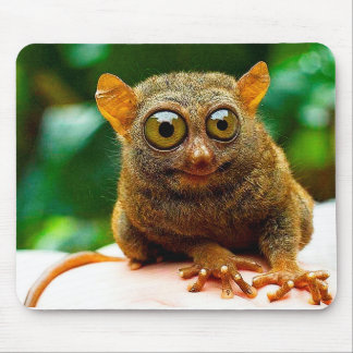 Alfombrilla De Ratón más tarsier