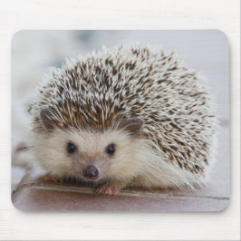 Alfombrilla De Ratón Mascota Hedgehog
