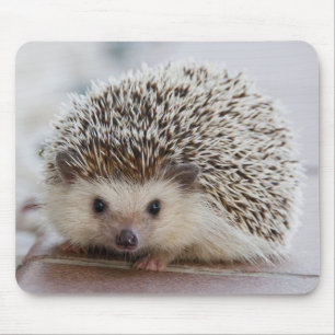 Alfombrilla De Ratón Mascota Hedgehog