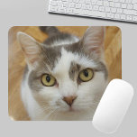 Alfombrilla De Ratón Mascota personalizado Foto personalizada Mousepad<br><div class="desc">Sube tu foto y crea un mousepad personalizado. Puede TRANSFERIR este DISEÑO a otros productos de Zazzle y ajustarlo para que se ajuste a la mayoría de los artículos de Zazzle. También puede hacer clic en el botón PERSONALIZAR para agregar, eliminar o cambiar detalles como color de fondo, texto, fuente...</div>