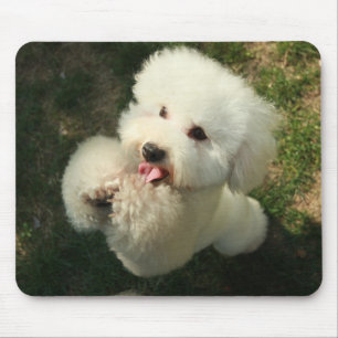 Alfombrilla De Ratón Mascotas, perro, caniche