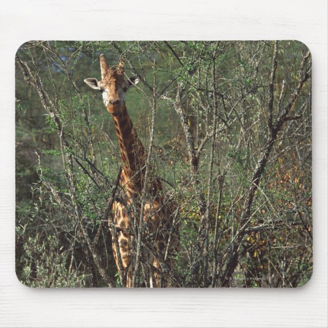 Alfombrilla De Ratón Massai Giraffe (Frente)