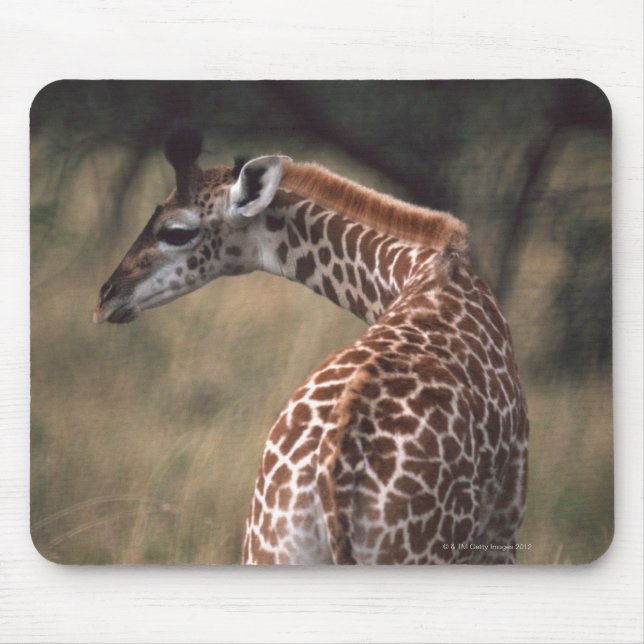 Alfombrilla De Ratón Massai Giraffe 2 (Frente)