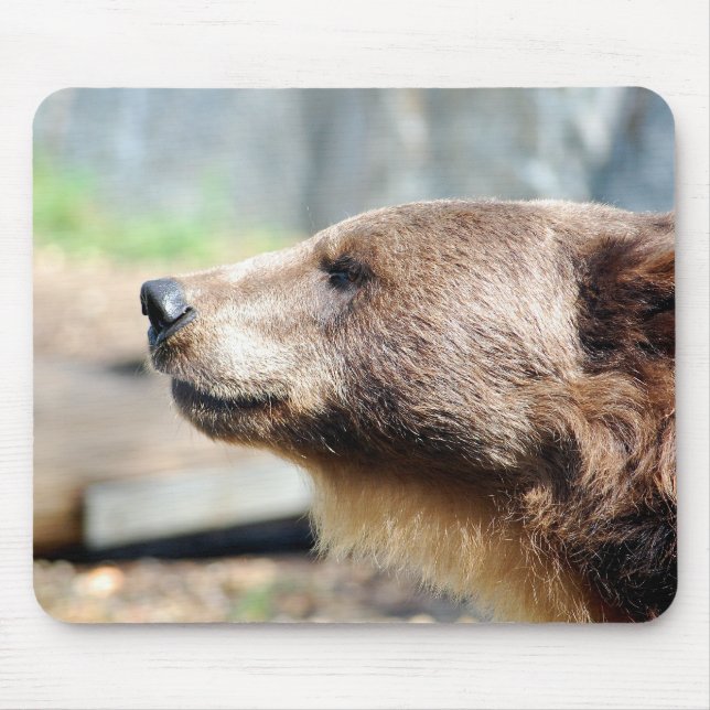 Alfombrilla De Ratón Master Bruin (Frente)