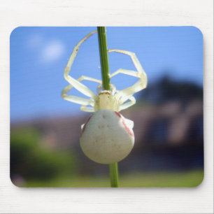 Alfombrilla De Ratón Mat de ratón de araña de cangrejo blanco