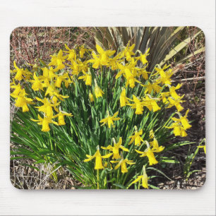 Alfombrilla De Ratón Mat de ratón de Daffodis amarillo primavera