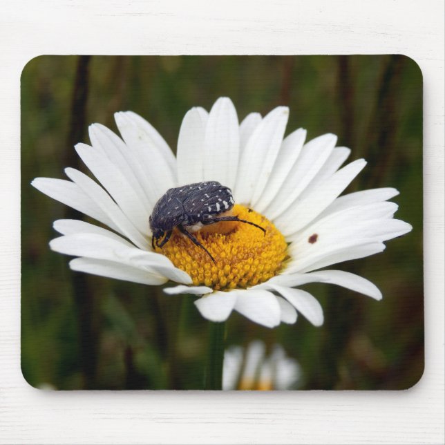 Alfombrilla De Ratón Mat de ratón de Rosa con manchas blancas (Frente)