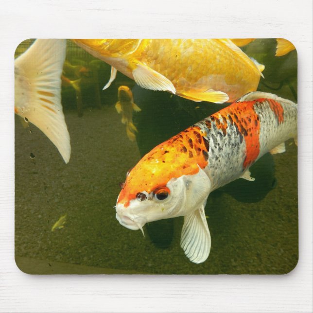 Alfombrilla De Ratón Mat de ratón Koi Carp (Frente)